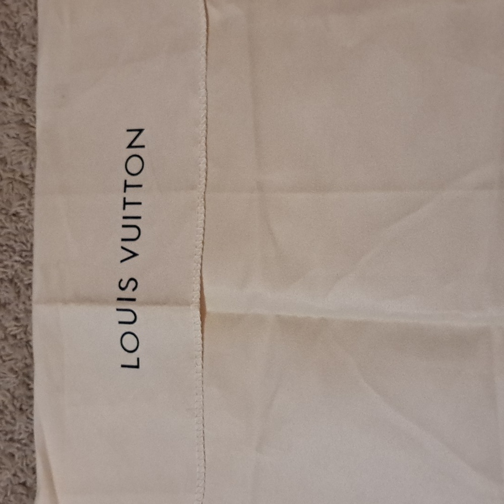 18 x 16 Louis Vuitton Dust Bag - Picture 2 of 6